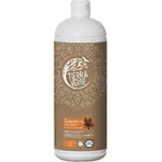 Tierra Verde Shp Gastano's Vona Orange 1×1 л, ампула для укрепления волос: цены и характеристики