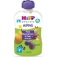 HiPP BIO 100% фруктовий Груша-Чорна смородина-Слива 100 г