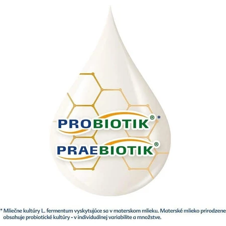 HiPP 2 BIO Combiotik® Суміш для подальшого харчування дітей (з 6 місяців) 1×500 г, дитяча суміш: ціни та характеристики