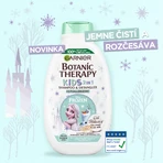 Garnier Disney Kids 2 в 1 ампула и кондиционер и красота 400 мл: цены и характеристики