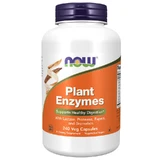 Now Foods Растительные энзимы, растительные энзимы, 240 капсул