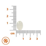 SEMA Lab Wiesioek, 60 капсул: ціни та характеристики
