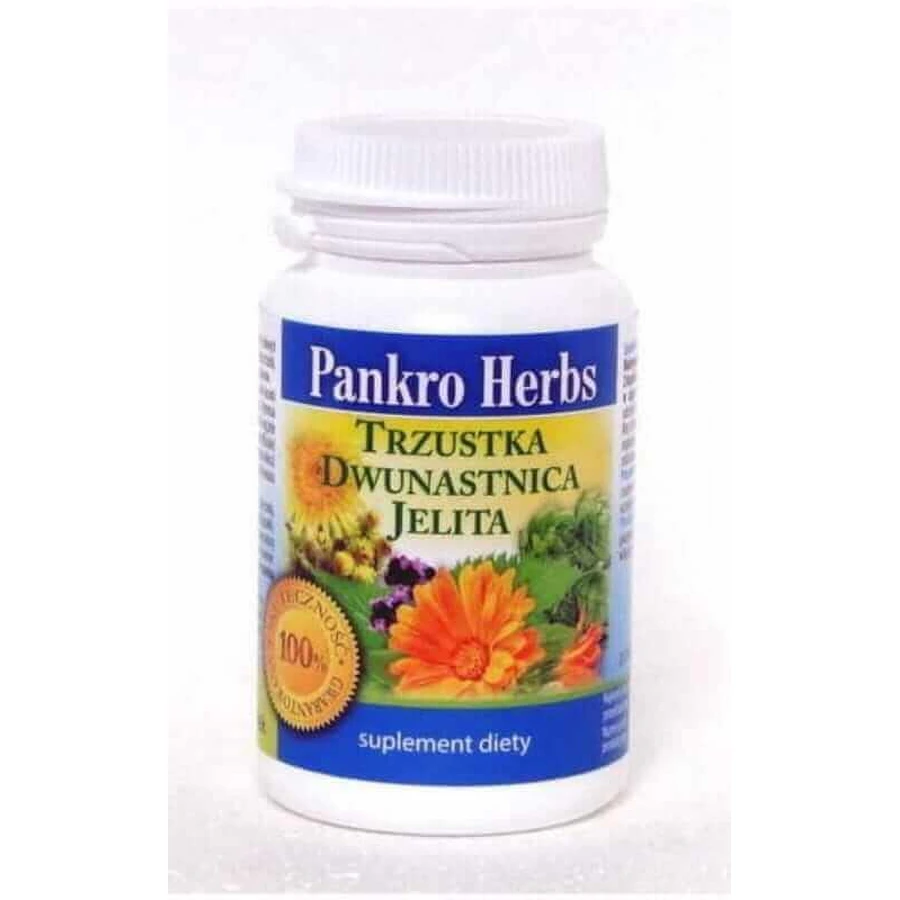 Pankro Herbs - підшлункова залоза, дванадцятипала кишка, кишечник 60 капсул Inwent Herbs: ціни та характеристики