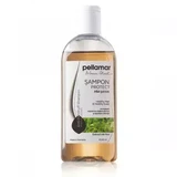 Шампунь з екстрактом волоського горіха для атласного волосся Beauty Hair, 250 мл, Pellamar