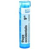 Boiron Thuya Occidentalis CH9 гранули 4 г
