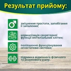 Фиточай GreenwoodПобедитель фильтр-пакет 2 г, 20 шт.: цены и характеристики