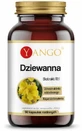 Виргиника многоцветковая 90 капсул Yango