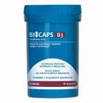 Bicaps Витамин B3 Ниацин 500 мг (60 капсул) капсулы ниацина, Formeds: цены и характеристики