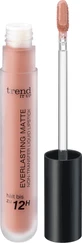 Trend !t up Everlasting Matte Non-Transfer Liquid Lipstick No.010, 5 мл