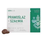 SEMA Lab Prawolaz + Shavia, 24 пастилки В УПАКОВКЕ: цены и характеристики