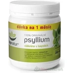 Топнатур PSYLLIUM клетчатка 1×250 cps, пищевая добавка: цены и характеристики
