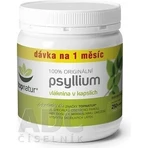 Топнатур PSYLLIUM клетчатка 1×250 cps, пищевая добавка: цены и характеристики