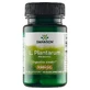 Пробиотики (ацидофильные лактобактерии) Swanson L. Plantarum Probiotic 10 млрд КОЕ, 30 вегетарианских капсул