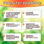Худі-Да капс. №60 для схуднення та контролю ваги: цены и характеристики