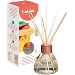 Ароматичний дифузор Bolsius Aromatic 2.0 Diffuser 45 мл Магнолія 1×45 мл, ароматичний дифузор: ціни та характеристики