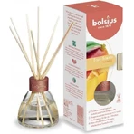 Ароматичний дифузор Bolsius Aromatic 2.0 Diffuser 45 мл Магнолія 1×45 мл, ароматичний дифузор: ціни та характеристики