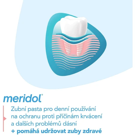 Meridol® Gum Protection Зубна паста для захисту ясен від сліз 3 x 75 мл: ціни та характеристики