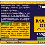 Органический магний с комплексом витаминов B Herbagetica, 120 капсул: цены и характеристики