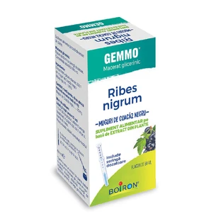 Экстракт почек черной смородины Ribes Nigrum Gemmo, 60 мл, Boiron