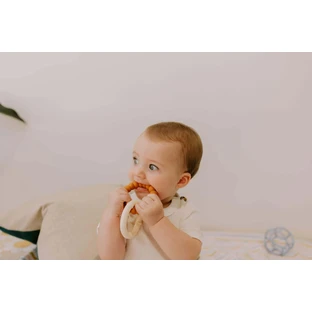 Прорізувач Jellystone Designs Teether Sun, зелений/фіолетовий