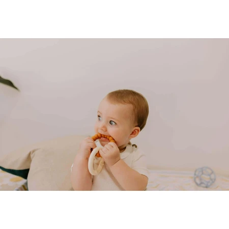 Прорізувач Jellystone Designs Teether Sun, зелений/фіолетовий: ціни та характеристики