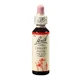 Квітковий засіб краплі corcodus Cherry Plum Original Bach, 20 мл, Rescue Remedy