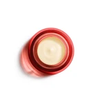Vichy Liftactiv Pigment Specialist B3 Крем от гиперпигментации с чистым ретинолом ночной, 50 мл: цены и характеристики