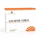 Галафор Форте Sun Wave Pharma, 30 капсул