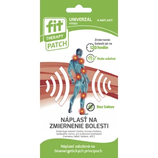 Пластир FIT Therapy Patch Універсальний пластир 6 шт