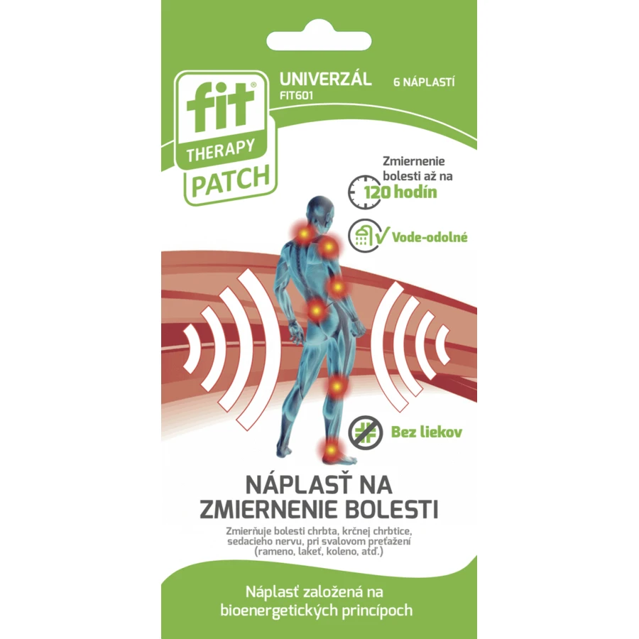 Пластир FIT Therapy Patch Універсальний пластир 6 шт: ціни та характеристики