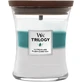 Ароматическая свеча WoodWick Trilogy средняя, Icy woodland 275 г