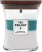 Ароматическая свеча WoodWick Trilogy средняя, Icy woodland 275 г