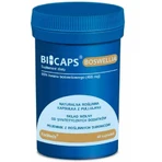 Bicaps Boswellia 60 капсул Formeds: цены и характеристики
