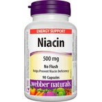 WEBBER NATURALS Ниацин B3 500 мг неаллергенный! 1×90 капсул, пищевая добавка: цены и характеристики