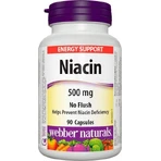 WEBBER NATURALS Ниацин B3 500 мг неаллергенный! 1×90 капсул, пищевая добавка: цены и характеристики