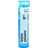 Boiron Ledum Palustre CH9 гранули 4 г