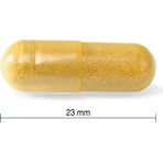 JAMIESON CURCUMIN WITH IERNY ROOT 1х60 cps, пищевая добавка: цены и характеристики