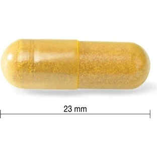 JAMIESON CURCUMIN WITH IERNY ROOT 1х60 cps, пищевая добавка