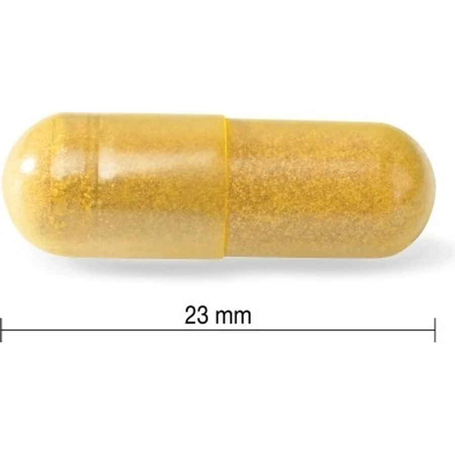 JAMIESON CURCUMIN WITH IERNY ROOT 1х60 cps, пищевая добавка: цены и характеристики