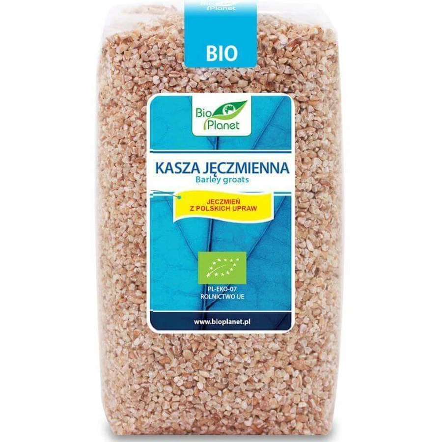 Ячна крупа BIO PLANET Ячна крупа BIO 500г: ціни та характеристики