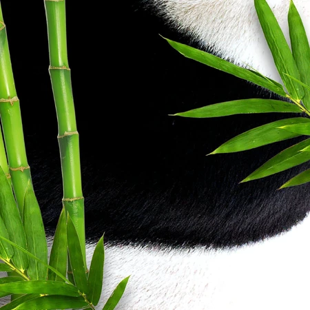 Bear Fruits Bamboo Panda Hair Mask (+ маска для волос) 20 мл: цены и характеристики