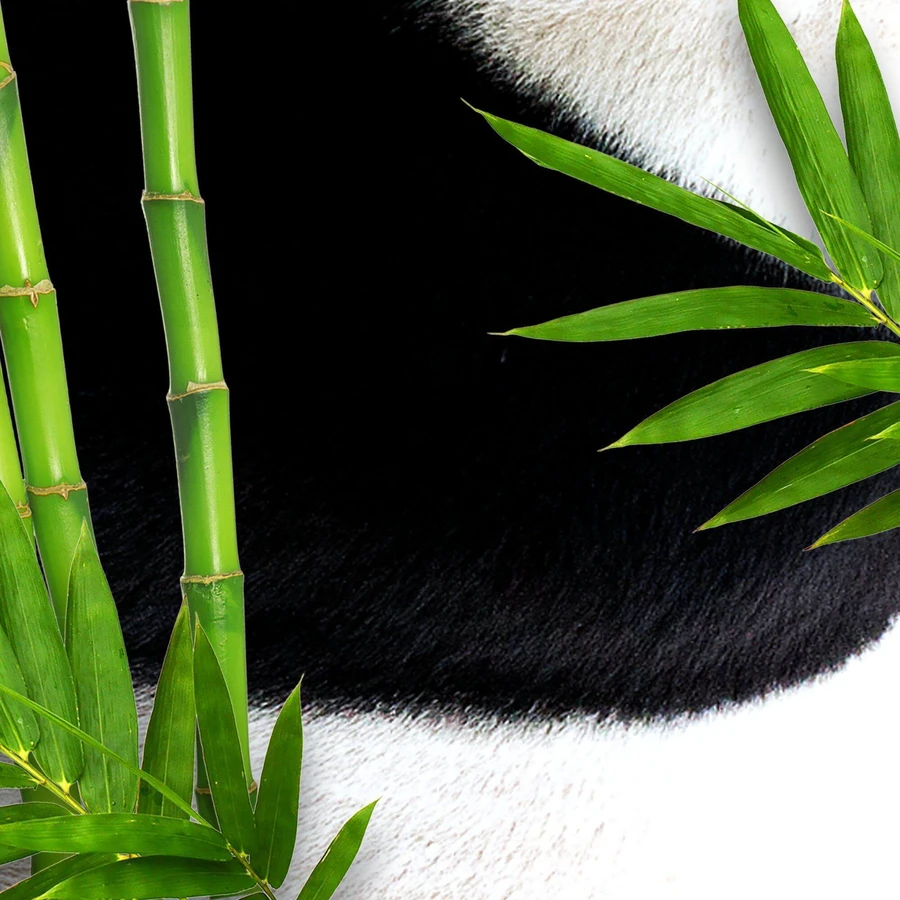 Bear Fruits Bamboo Panda Hair Mask (+ маска для волос) 20 мл: цены и характеристики