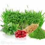 BioGreens SuperFood Organic з паростками, морські водорості, 120 капсул, Zenyth: ціни та характеристики