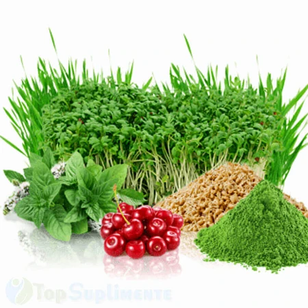 BioGreens SuperFood Organic з паростками, морські водорості, 120 капсул, Zenyth: ціни та характеристики