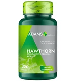 Экстракт терновника, 200 мг, 30 капсул, Adams Supplements