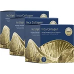 Inca Collagen Triple collagen treatment+vit.C&D 1×1 set, пищевая добавка: цены и характеристики