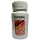Дигебил, 60 капсул, Solchem Nature