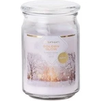 Emocio Склянка 93х142 мм зі скляною кришкою Golden Glow ароматична свічка 1×1 шт, розмір 93 х 142 мм: ціни та характеристики