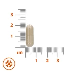 SEMA Lab MenoBalance, 30 твердих капсул: ціни та характеристики