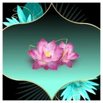 Discreet Plus Deo, дышащие гигиенические прокладки, Waterlily, 52 шт.: цены и характеристики